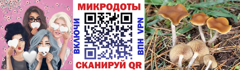 Купить  Тобольск  Галлюциногенные грибы Magic Shrooms 